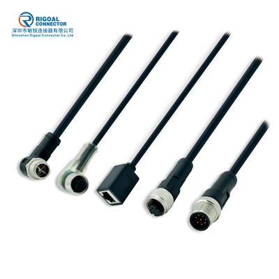 CE IP68 M5 M8 M12 Waterproof Connector 3p 4p 5p 8p 12p Assembly Molded Panel Mount