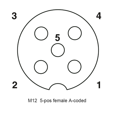 2P 3P 4P 5P M12 Waterproof Connector Female Straight Type Pass Plastic Plug